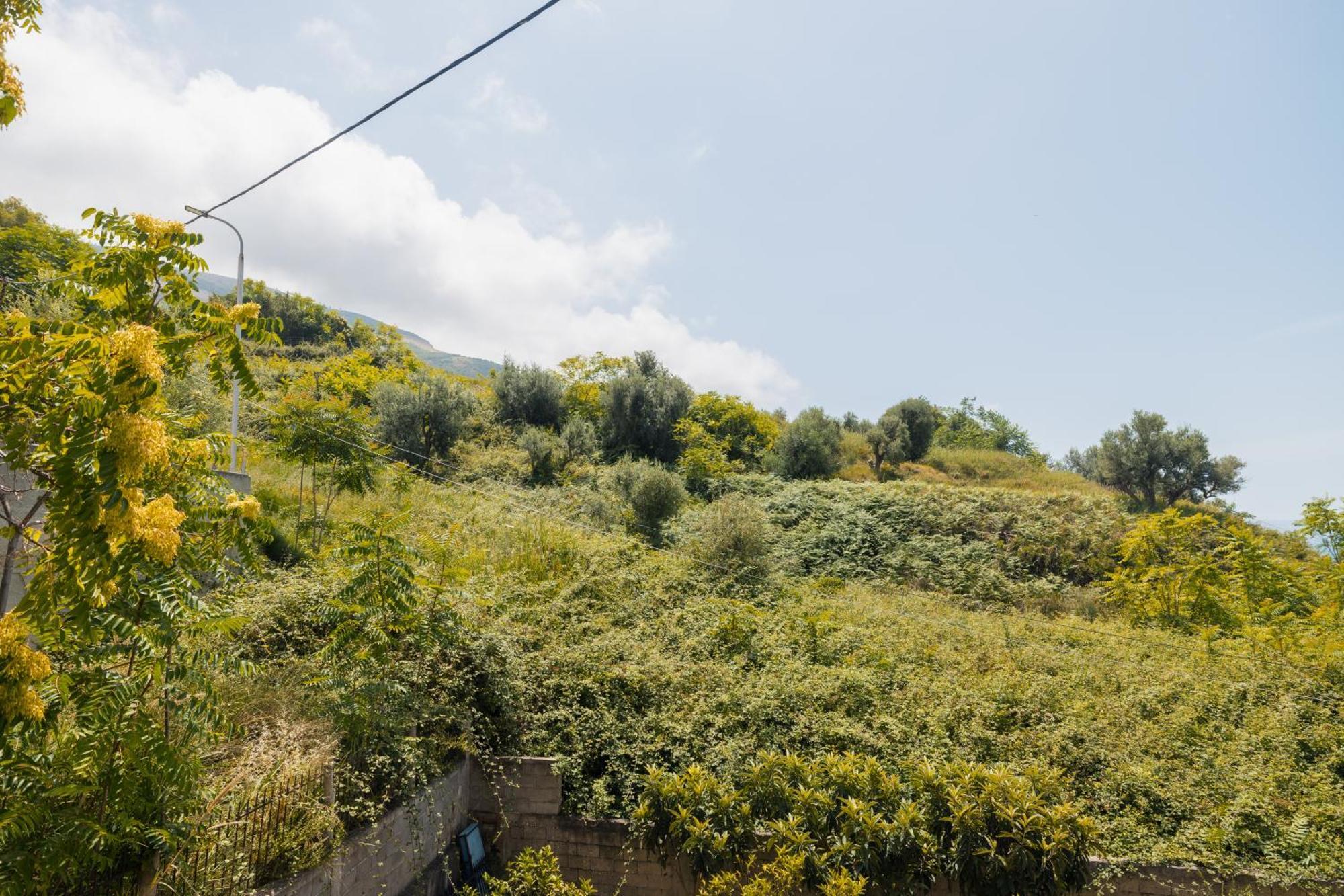 Voyage Villa Avlonya Dış mekan fotoğraf